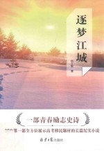 逐梦江城 封面