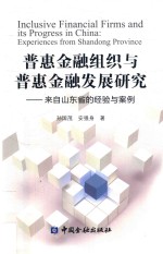 普惠金融组织与普惠金融发展研究  来自山东省的经验与案例 封面
