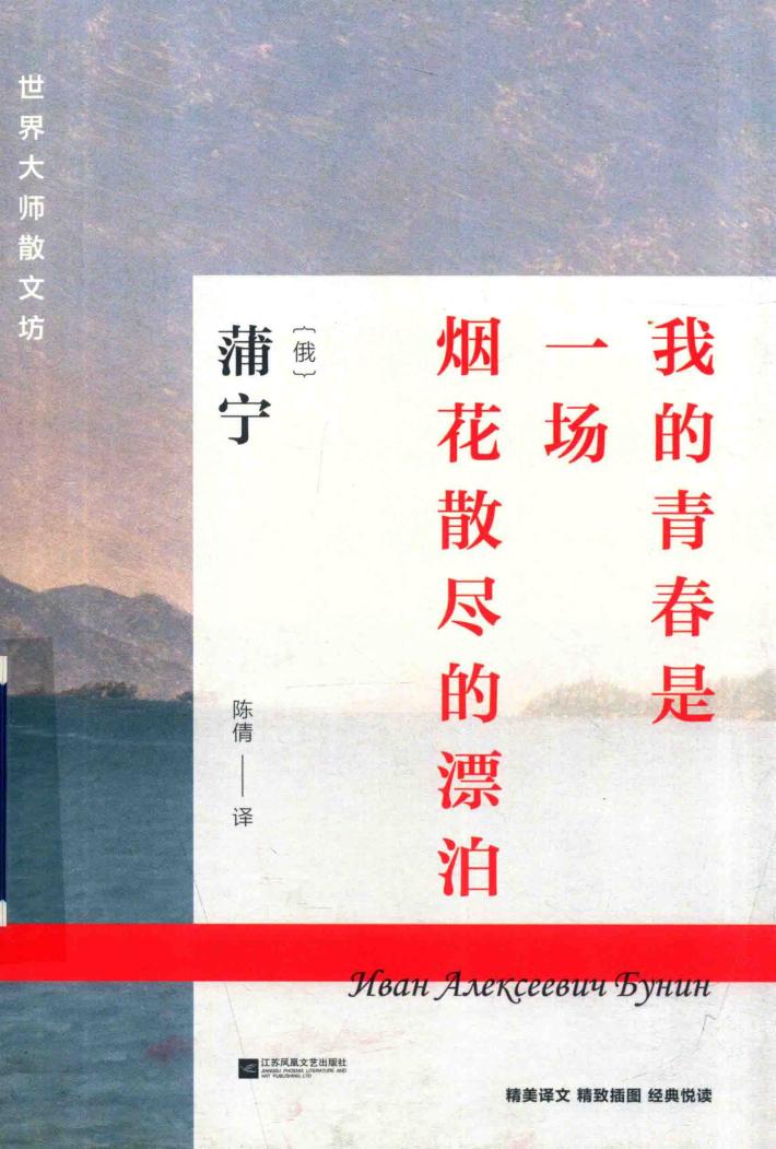 我的青春是一场烟花散尽的漂泊 封面