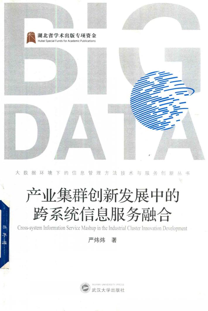 产业集群创新发展中的跨系统信息服务融合 封面
