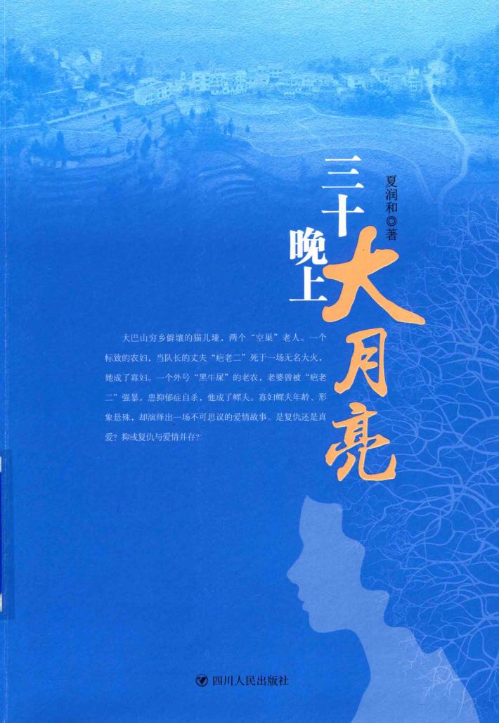 三十晚上大月亮 封面