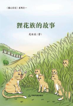 狸花族的故事  6-14岁 封面