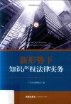 新形势下知识产权法律实务 封面