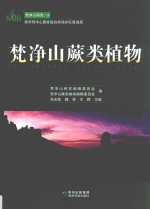 梵净山蕨类植物 封面