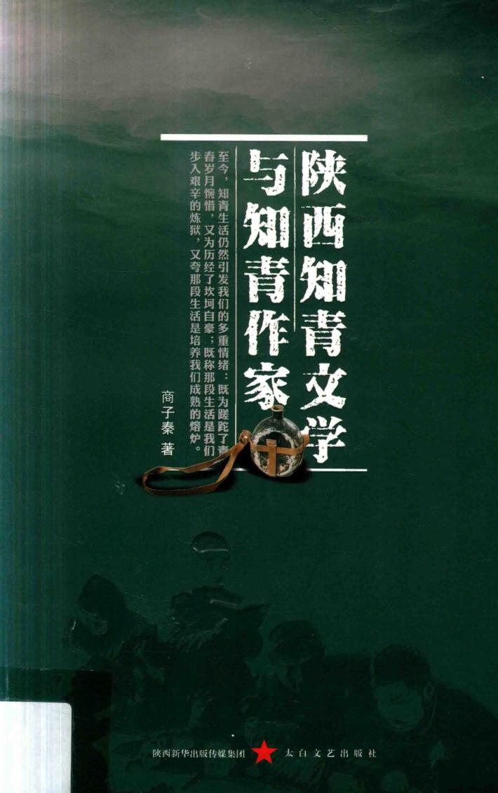 陕西知青文学与知青作家 封面