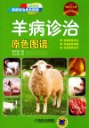 羊病诊治原色图谱 封面