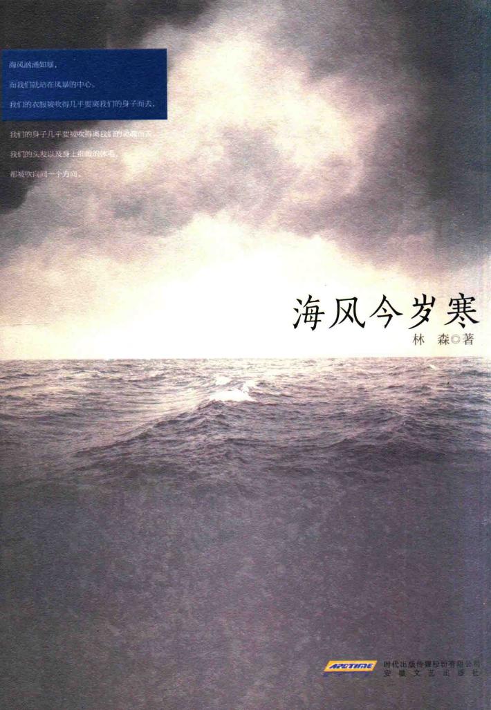 新生代作家小说精选大系  海风今岁寒 封面