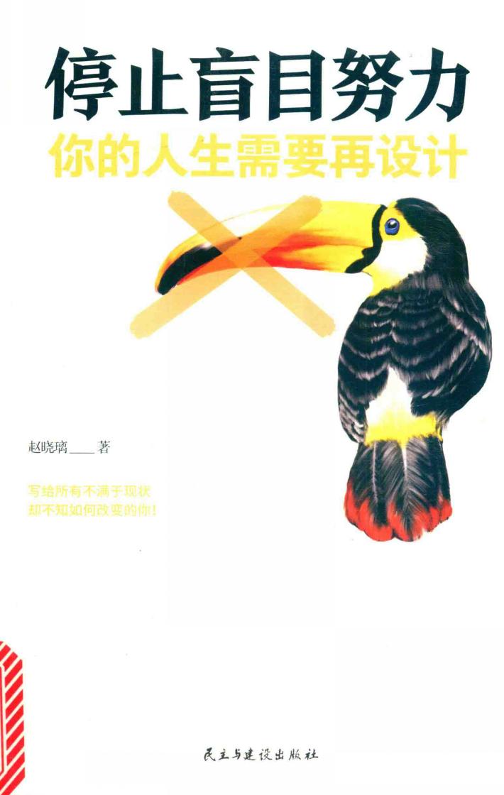 停止盲目努力  你的人生需要再设计 封面