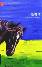 黑骏马 封面