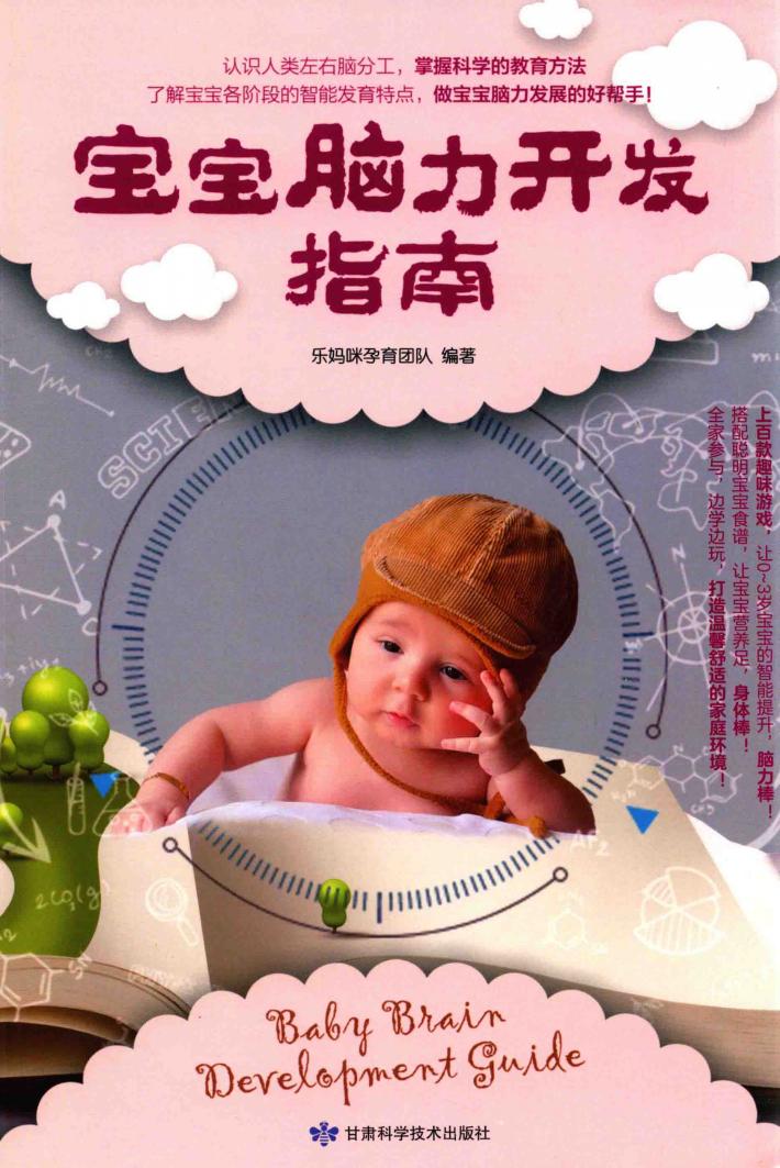 宝宝脑力开发指南  0-3岁 封面