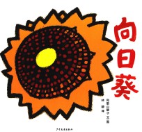 向日葵 封面