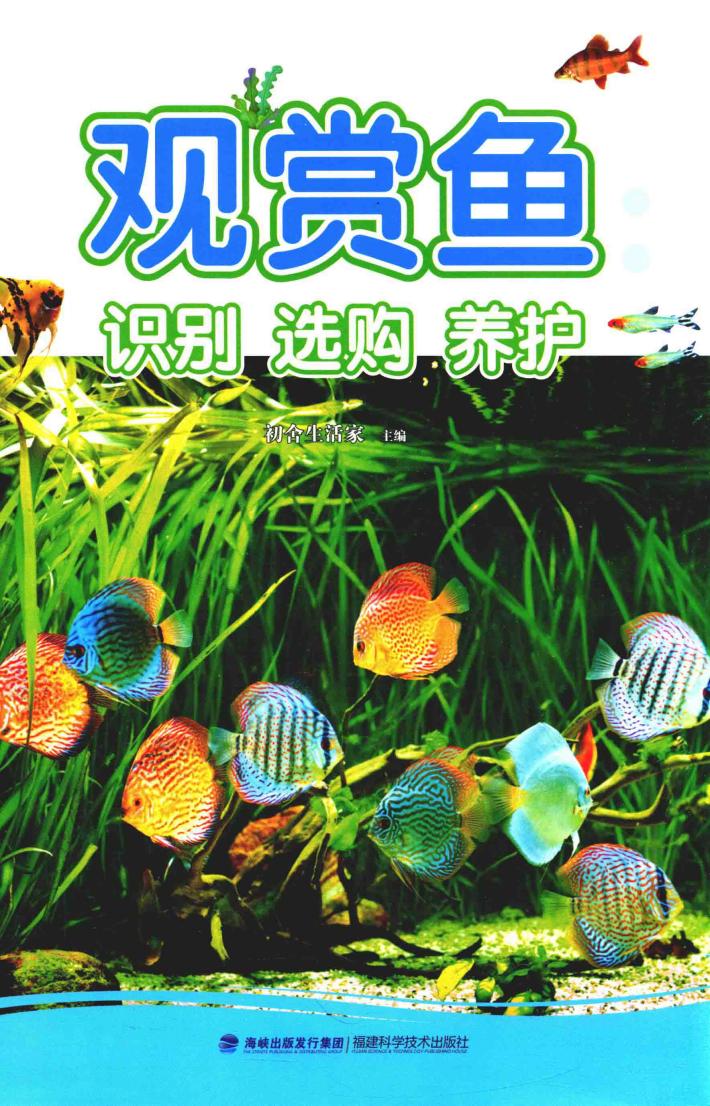 观赏鱼  识别  选购  养护 封面