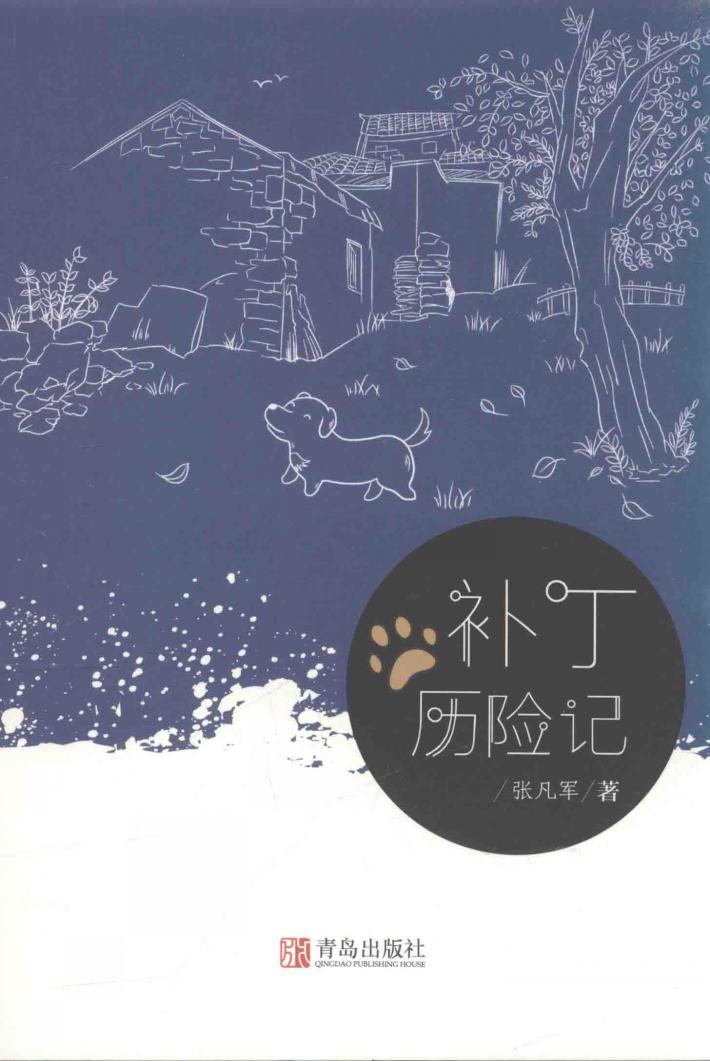 补丁历险记 封面
