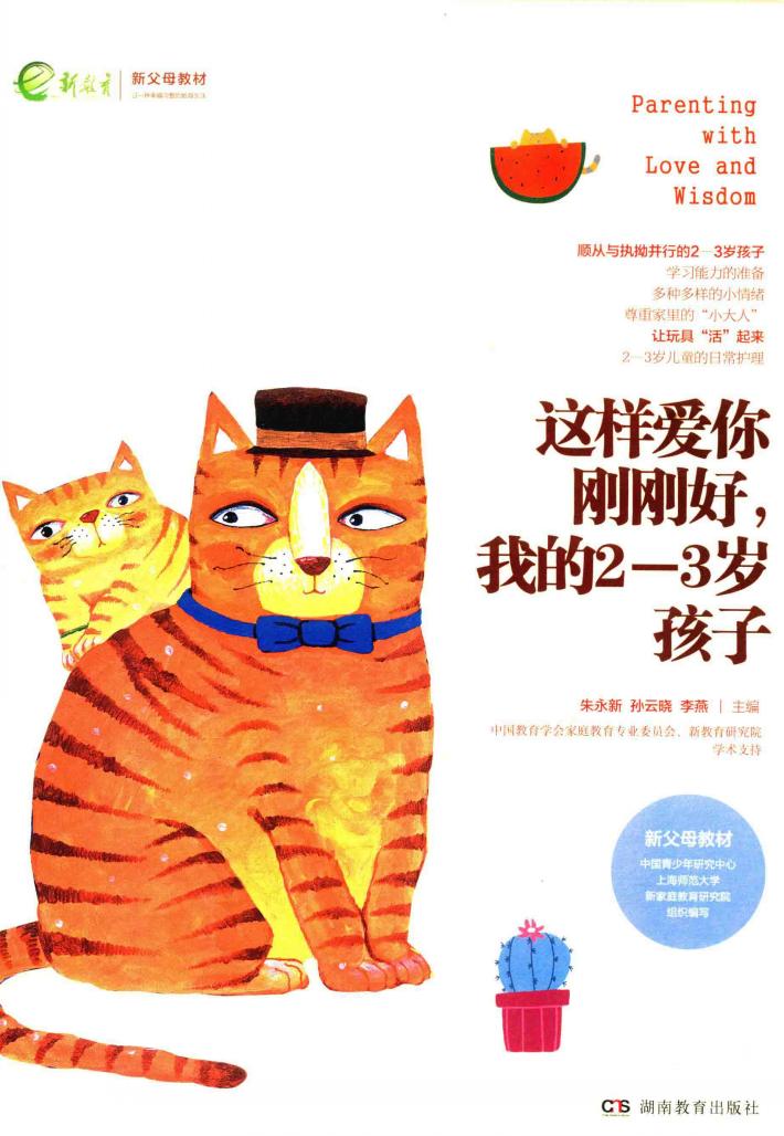 这样爱你刚刚好，我的2-3岁孩子 封面