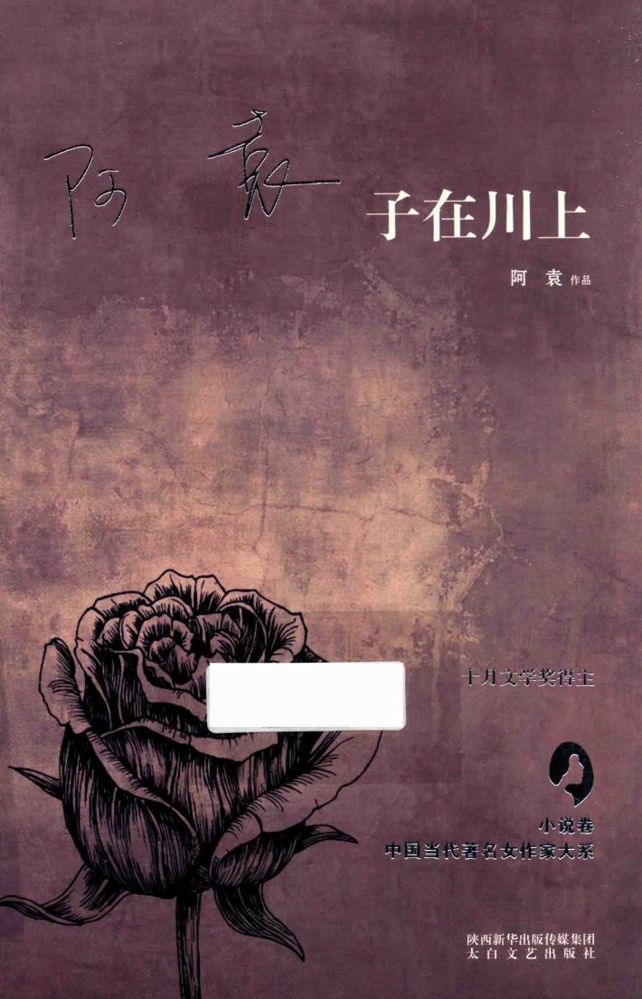 中国当代著名女作家大系  子在川上 封面