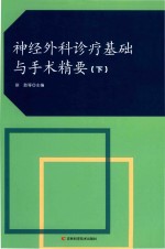 神经外科诊疗基础与手术精要 下 封面