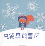 口袋里的雪花 封面