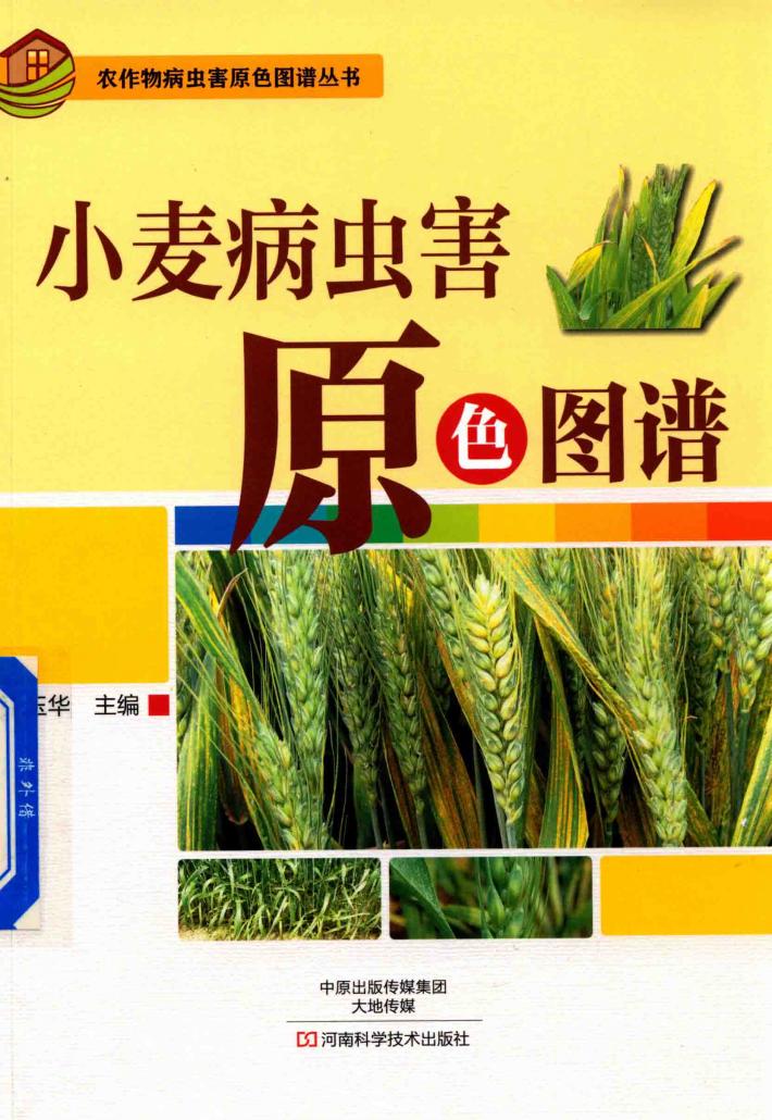 小麦病虫害原色图谱 封面