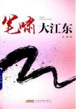 笔啸大江东 封面