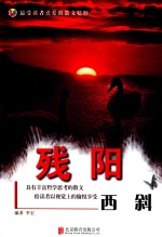 残阳西斜  彩图版 封面