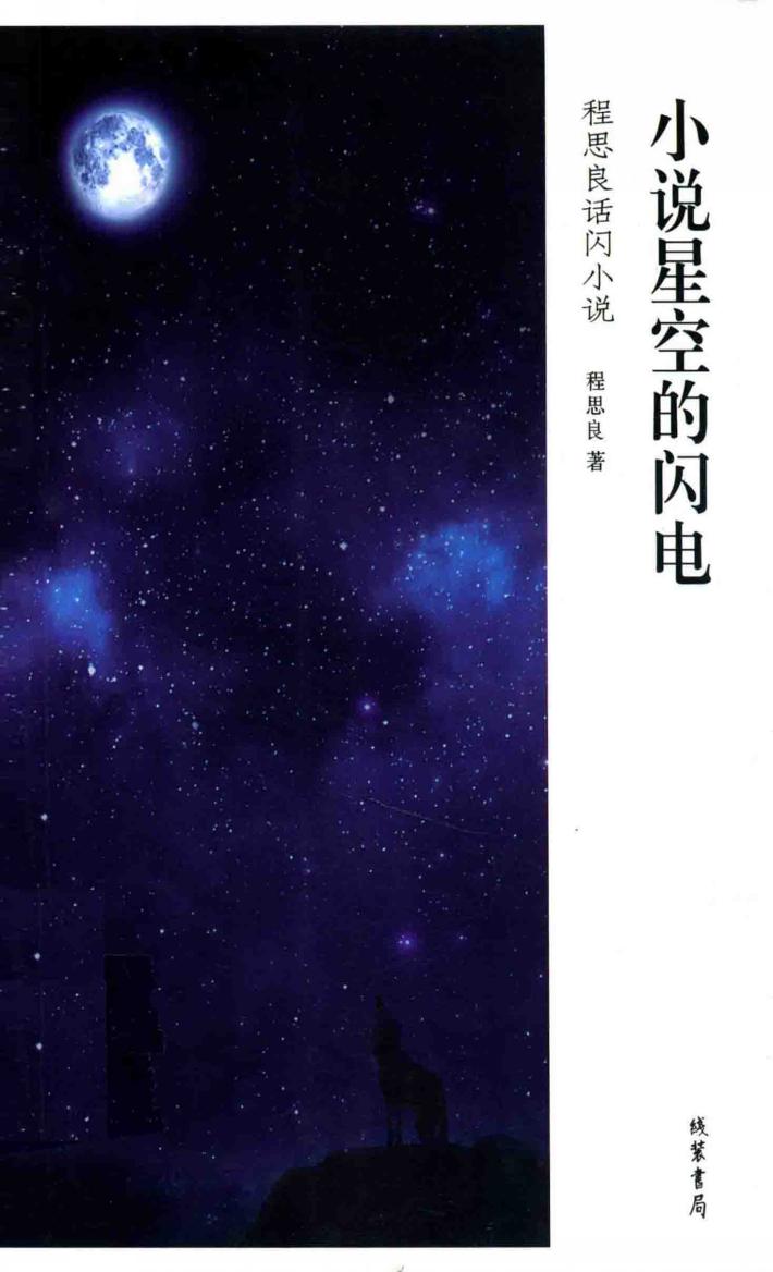 小说星空的闪电  程思良话闪小说 封面