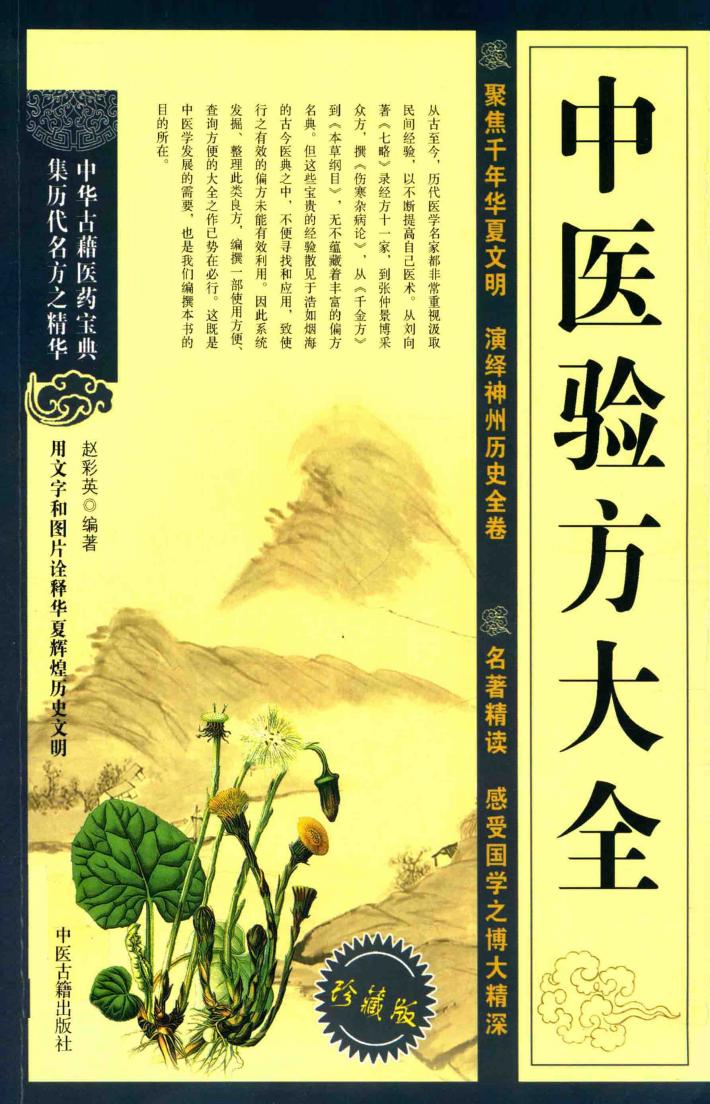 中医验方大全  珍藏版 封面