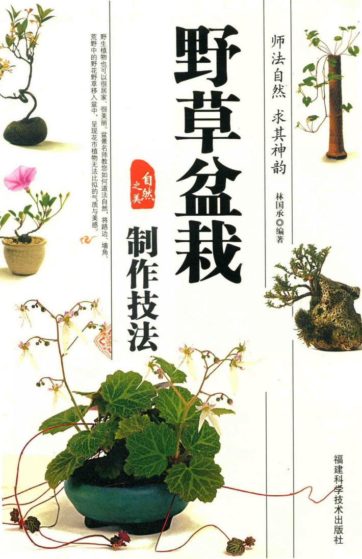 野草盆栽 制作技法 封面