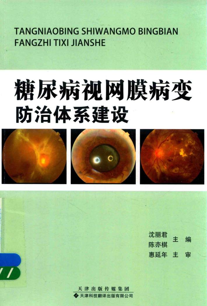糖尿病视网膜病变防治体系建设 封面