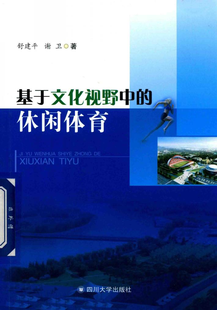基于文化视野中的休闲体育 封面
