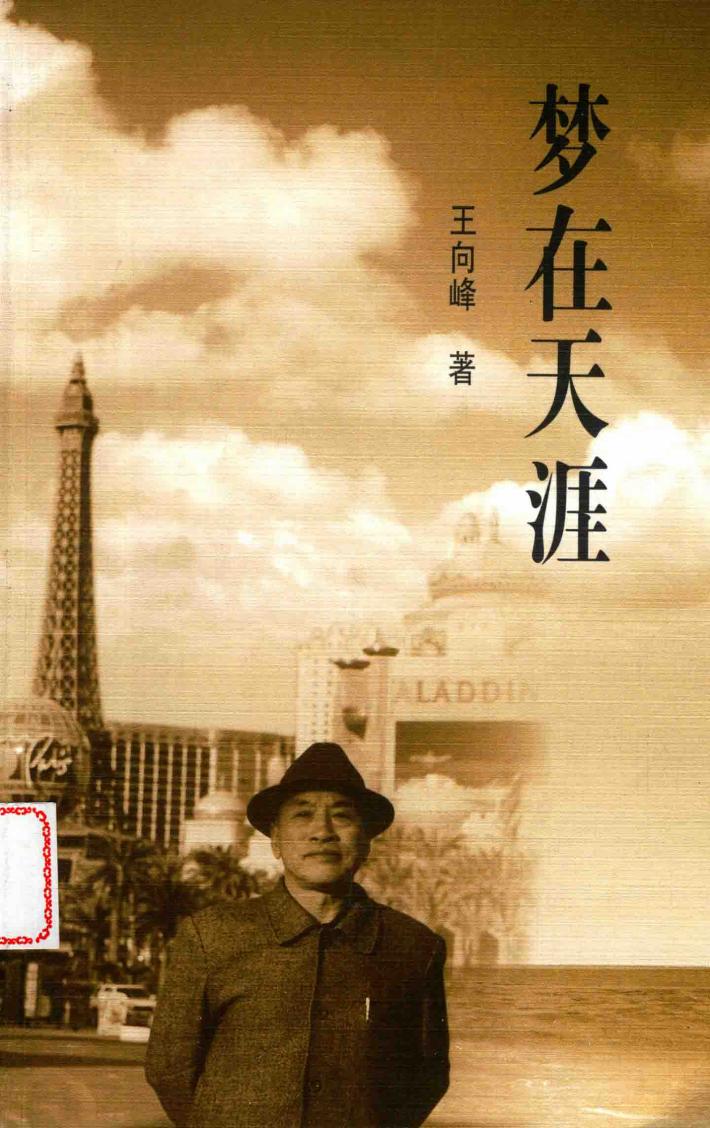 梦在天涯 封面