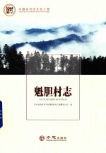 中国名村志丛书  魁胆村志 封面