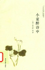 小童醉诗中 封面