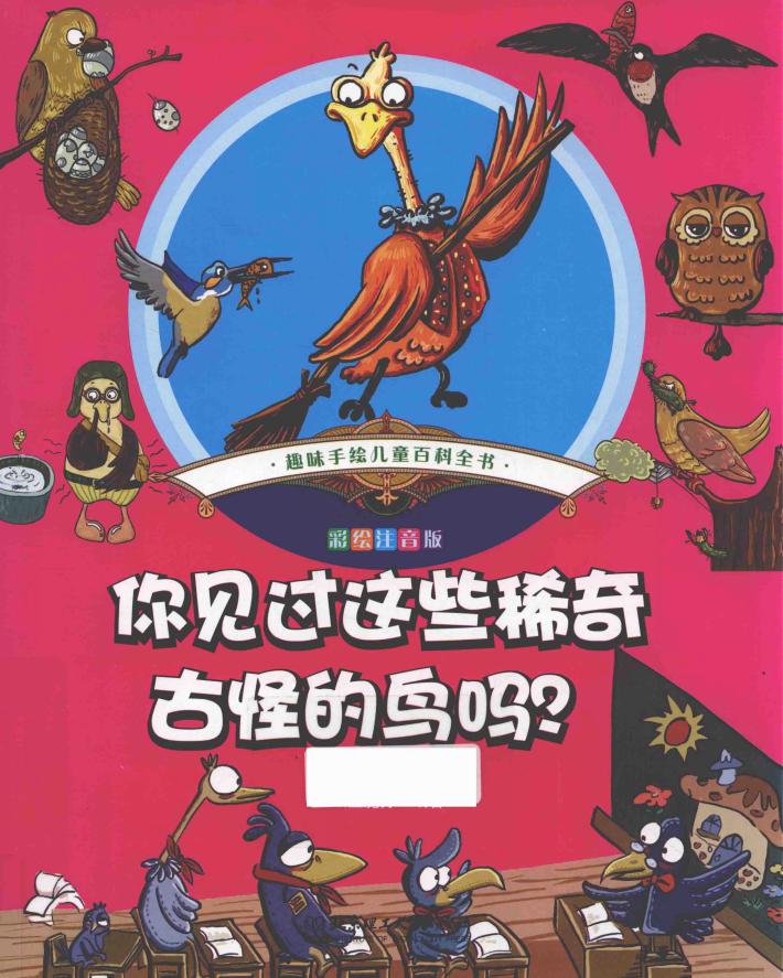 趣味手绘儿童百科全书 你见过这些稀奇古怪的鸟吗? 封面