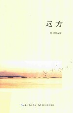 远方 封面