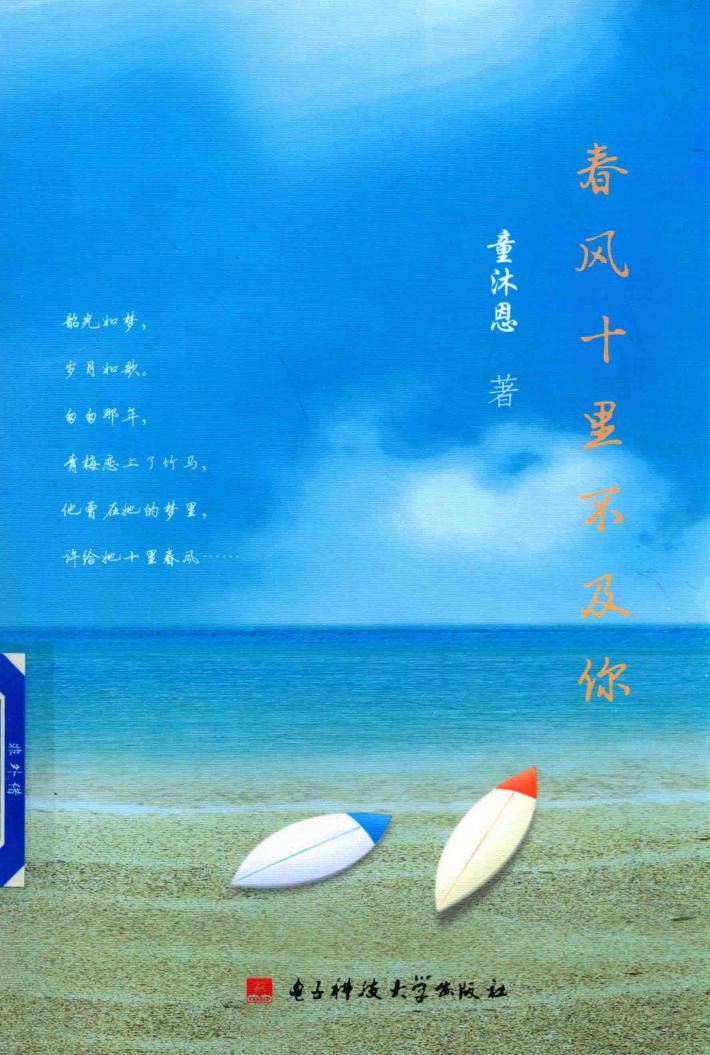 言情小说 春风十里不及你 封面