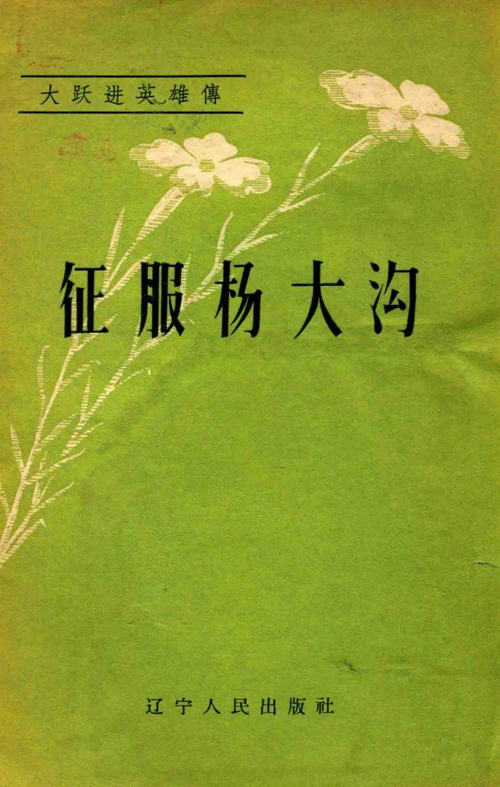 征服杨大沟 封面