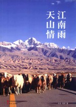 江南雨，天山情 封面