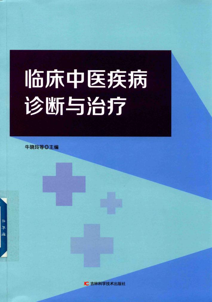 临床中医疾病诊断与治疗 封面