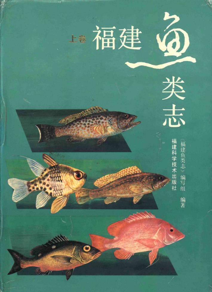 福建鱼类志  上 封面