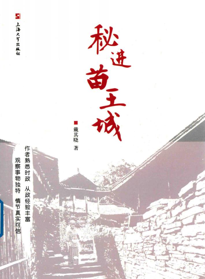 秘进苗王城 封面