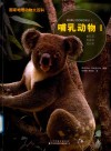哺乳动物 1 封面