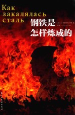 钢铁是怎样炼成的 封面