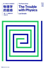第一推动丛书  物理系列  物理学的困惑 封面