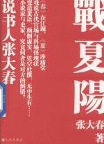 战夏阳 封面
