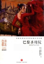 名家名译全本世界经典文学名著  巴黎圣母院 封面