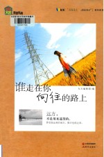 谁走在你向往的路上 封面