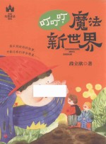 叮叮叮，魔法新世界 封面