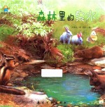 森林里的泉水 封面