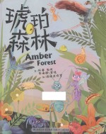 琥珀森林  6-12岁 封面