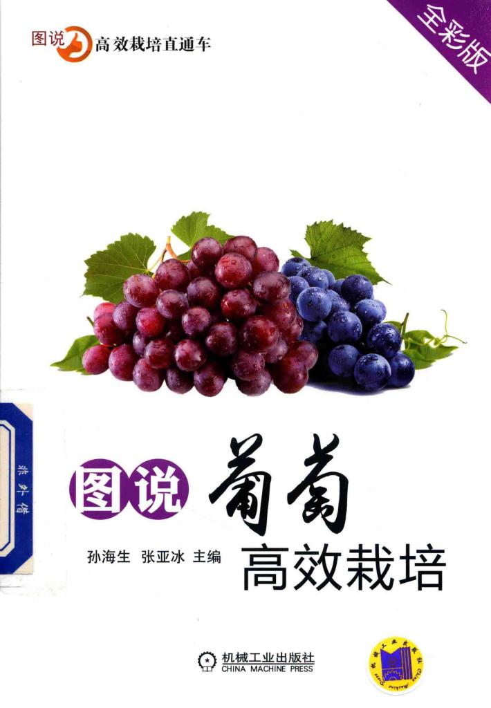 图说葡萄高效栽培 全彩版 封面
